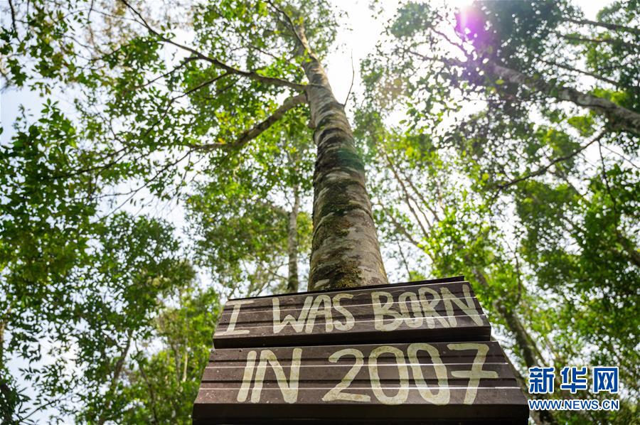 (第三屆進(jìn)博會·圖文互動)(4)專訪:進(jìn)博會提供了一個共享中國發(fā)展機(jī)遇的平臺