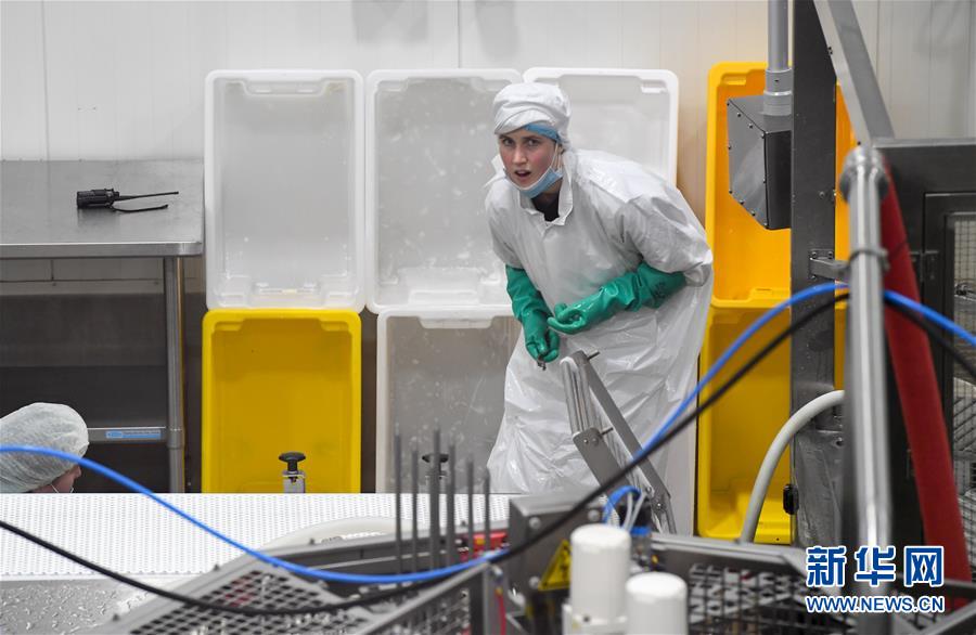 （第三屆進(jìn)博會&middot;圖文互動）（2）通訊：新西蘭的進(jìn)博會味道，甜