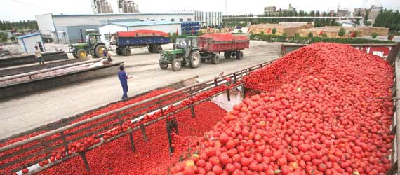 中國推動構(gòu)建共贏、互信、發(fā)展的新絲綢之路