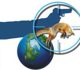 中國全球&ldquo;獵狐&rdquo;戰(zhàn)果豐碩！