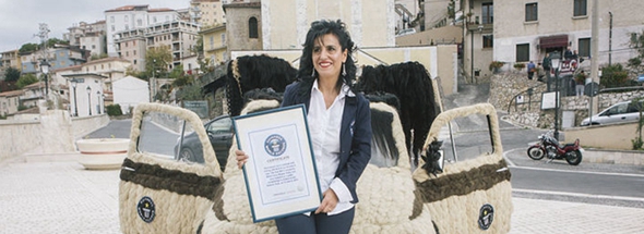 意造型師為愛車做&ldquo;發(fā)型&rdquo; 耗100公斤頭發(fā)獲吉尼斯世界紀(jì)錄稱號(hào)