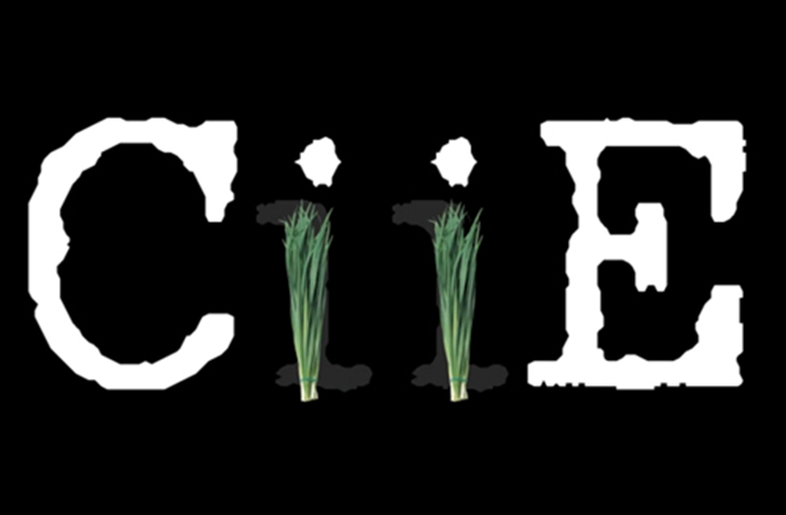 新華社創(chuàng)意動感視頻：考眼力！數(shù)數(shù)多少樣進(jìn)口貨