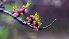 隨心而行，走走停停始終精彩。