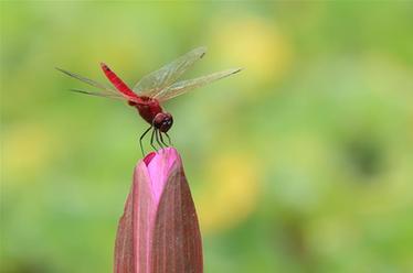 2019，精&ldquo;彩&rdquo;紛呈