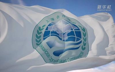 你好，上合！