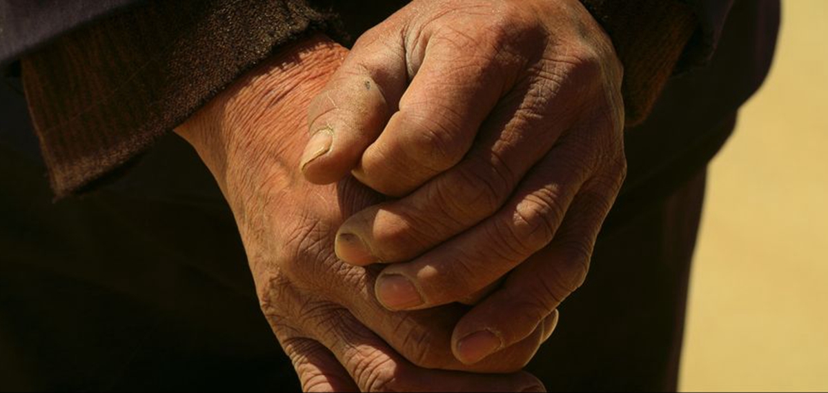 正式發(fā)布！《攜手，為人民》中國共產(chǎn)黨與世界政黨領(lǐng)導(dǎo)人峰會暖場片