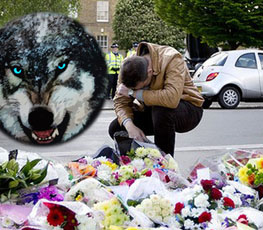 血案頻發(fā) "獨狼"緣何兇猛？