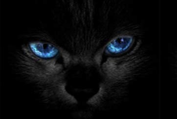 英國(guó)也有偷聽的&ldquo;棱鏡&rdquo;