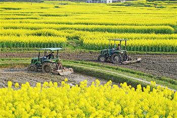 春分將至農(nóng)事忙